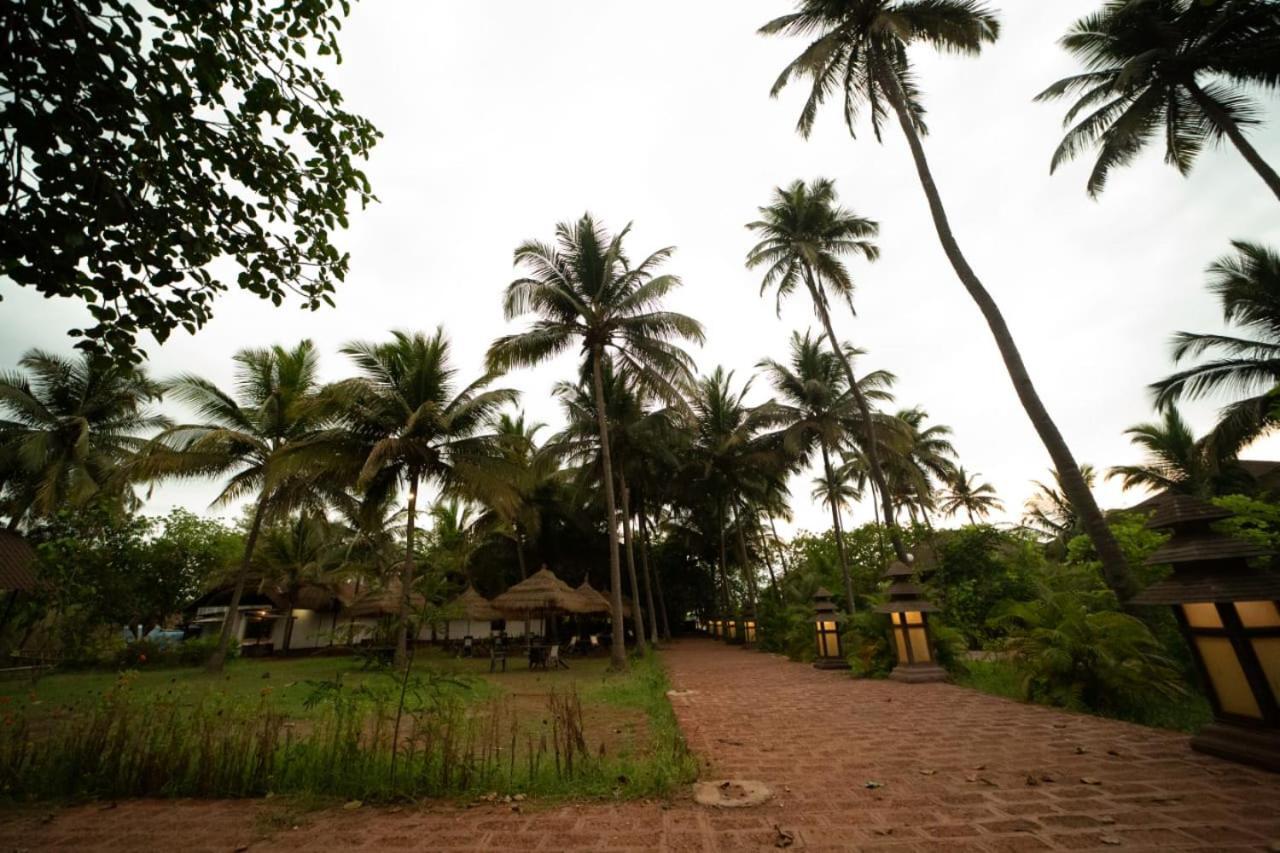 Exotica By The Sea Diveagar