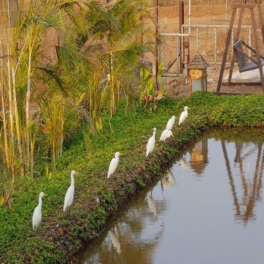Exotica Retreats Bed & Breakfast Diveagar
